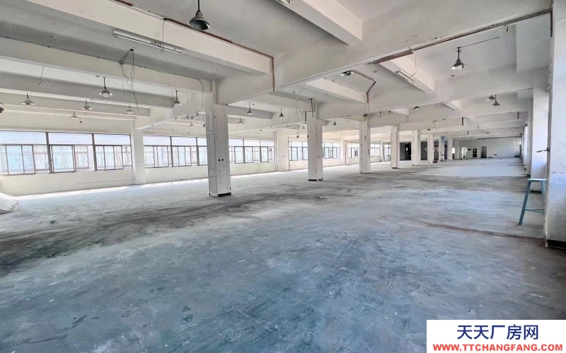 杭州濱江整層1300方 戶型 采光好 大貨梯 適合電商 直播