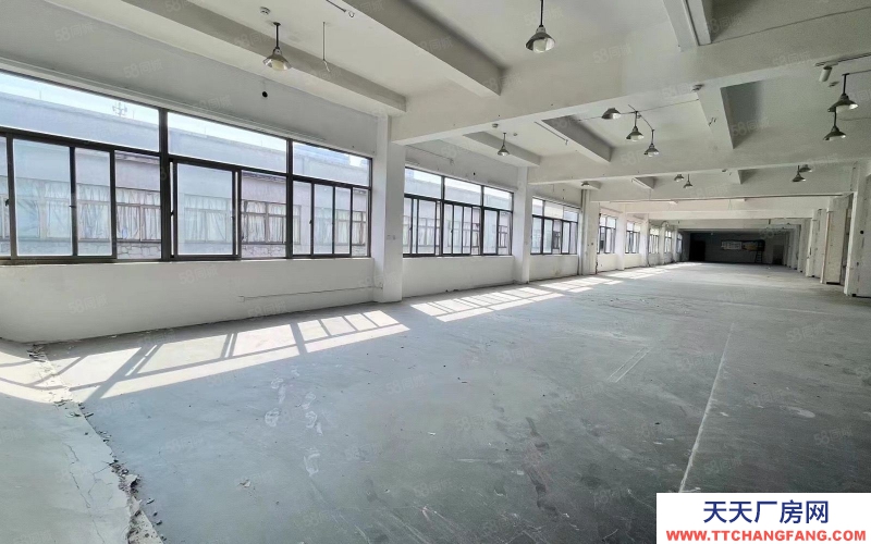 杭州濱江整層1300方 戶型 采光好 大貨梯 適合電商 直播