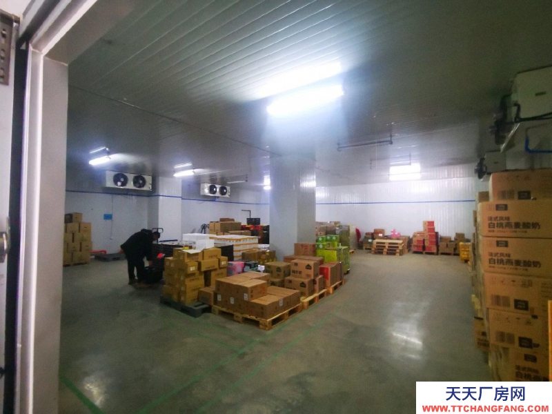 (出租) 鐵西經濟技術開發區 冷藏庫招租