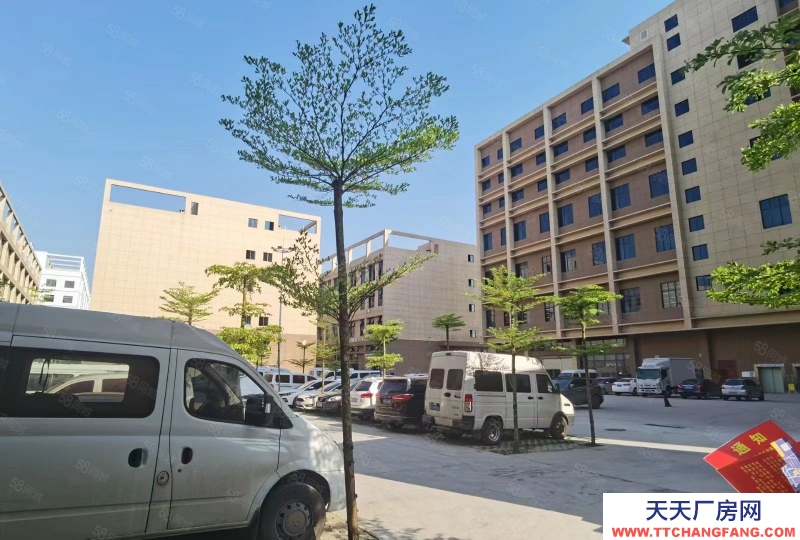 南寧市西鄉塘區(出租) 優惠房源出租，10塊一平，標準廠房，3年沒有遞增