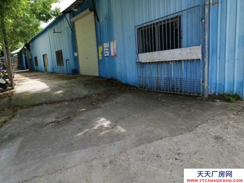 南寧市西鄉塘區出租2萬平花園式廠房/倉庫/可分租/可隔大小