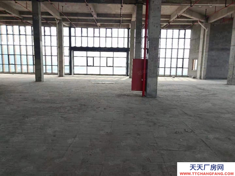 杭州濱江(出租) 整層2000方層高6米可分割,適合創意設計攝影企業