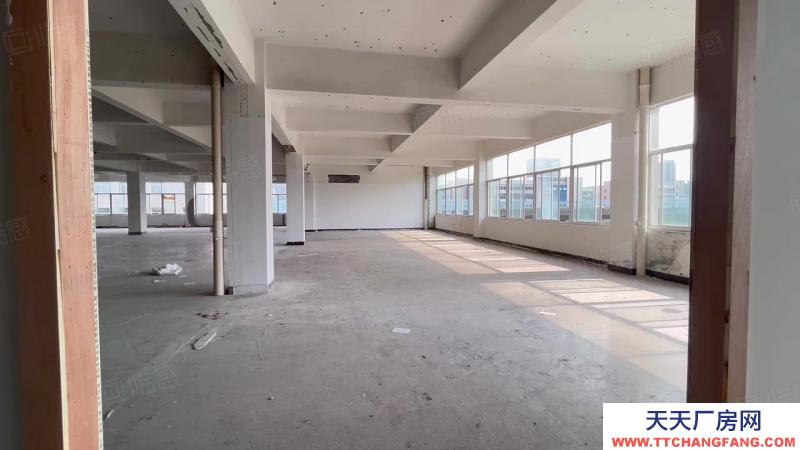 杭州濱江近地鐵 高架口廠房1300方西南邊套 采光好 層高4.5