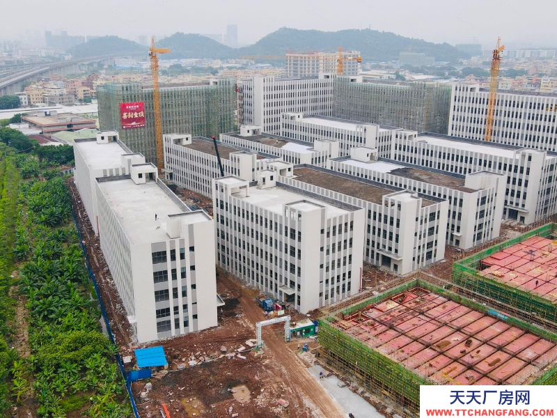 (出售) 獨棟4600方，現樓！國有工業產權廠房 南站6公里