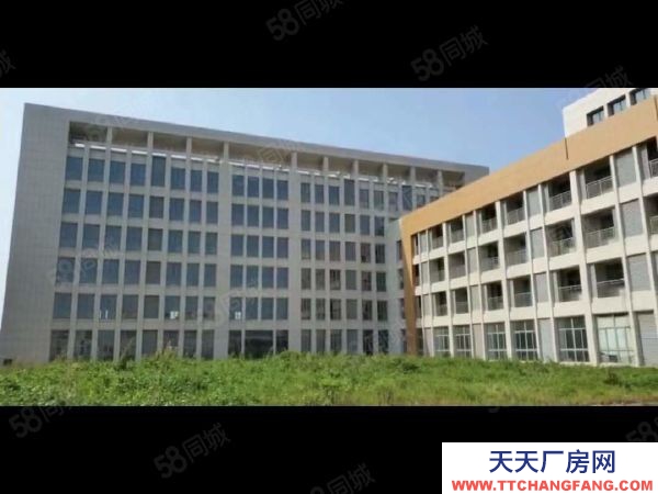 南京市江寧區高淳經濟開發區土地43畝2.9萬平標準廠房出售5500萬