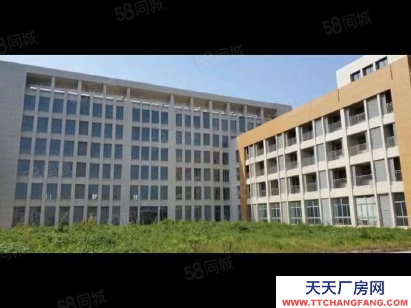 南京市江寧區高淳經濟開發區土地43畝2.9萬平標準廠房出售5500萬