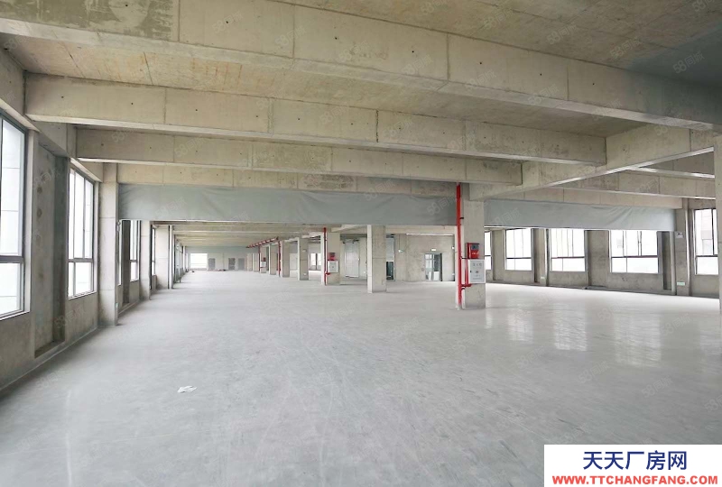 (出售) 海珠區廠房出售 全新1千平起獨棟大平層 紅本企業總部帶車位