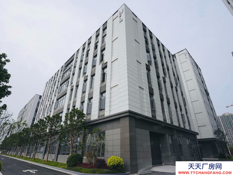 (出售) 海珠區廠房出售 全新1千平起獨棟大平層 紅本企業總部帶車位