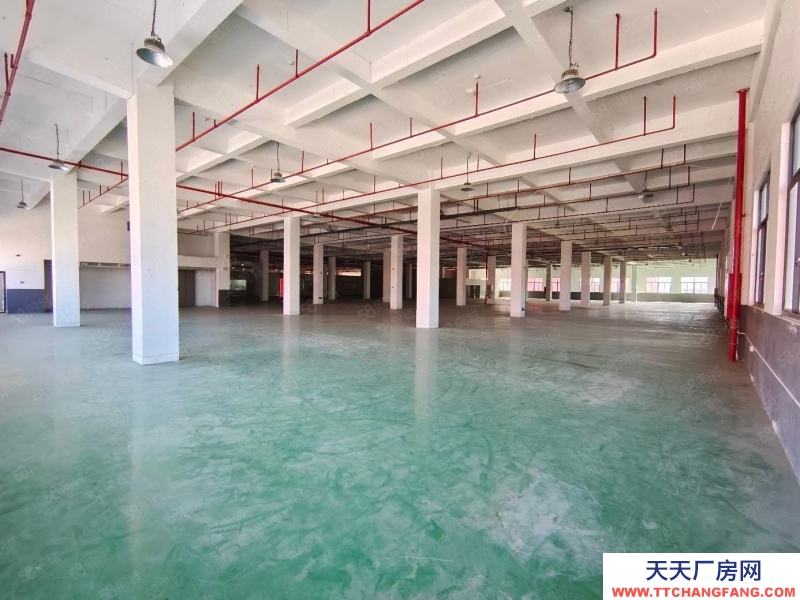 (出租) 福州閩侯縣房東出租 高新區(qū)6萬平全新廠房招商