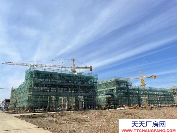 南京市江寧區道邊 標準化廠房 交通便利配套齊全