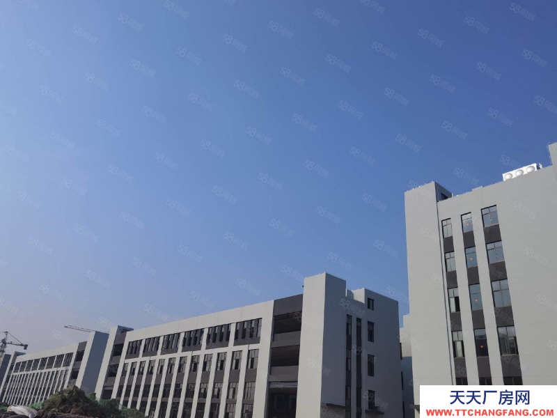 杭州濱江特價！高標廠房3層1695，每層585平，二三樓預留吊裝