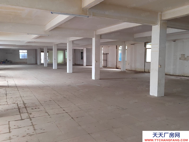 (出租) 花都區(qū)花城街獨(dú)門獨(dú)院2800方廠房倉庫低價(jià)出租主干道旁邊