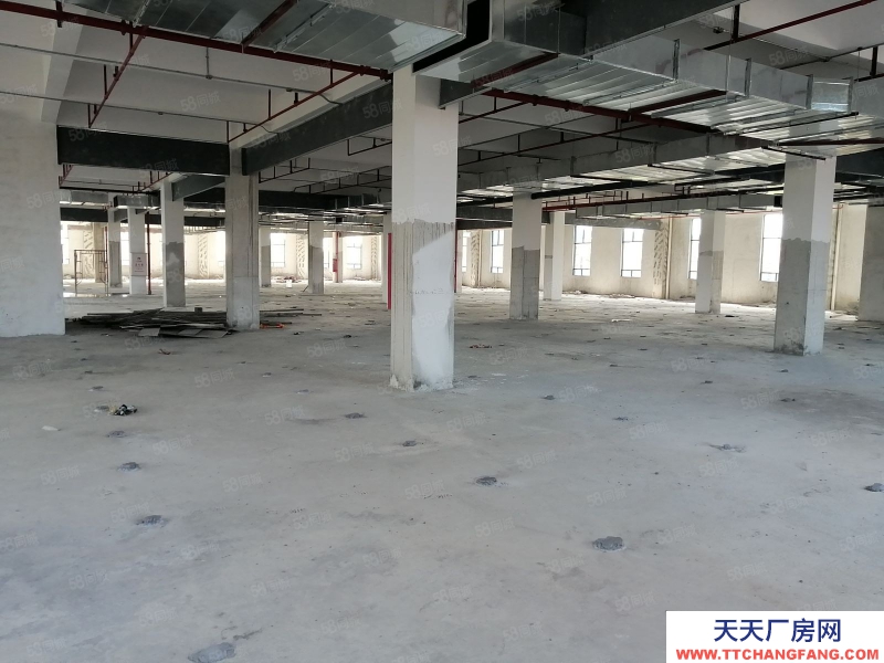 (出租) 花都區(qū)新雅街南陽莊獨院標準廠房3500平方出租