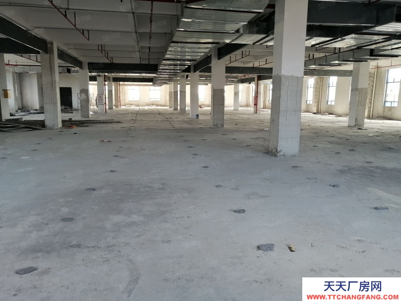 (出租) 花都區(qū)新雅街南陽莊獨院標(biāo)準(zhǔn)廠房3500平方出租