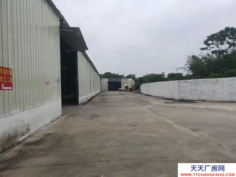 (出租) 花都花東鎮8000房獨門獨院廠房，8米滴水，可辦環評