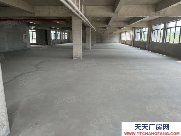 南京市浦口區小柳工業園 200到3500平 多套出租 隨時看房