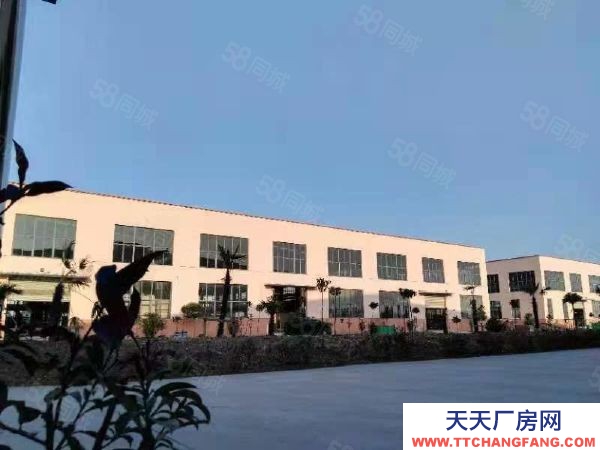 南京浦口區三橋廠房出租 （可分租）價格低設計起點高 企業形象好