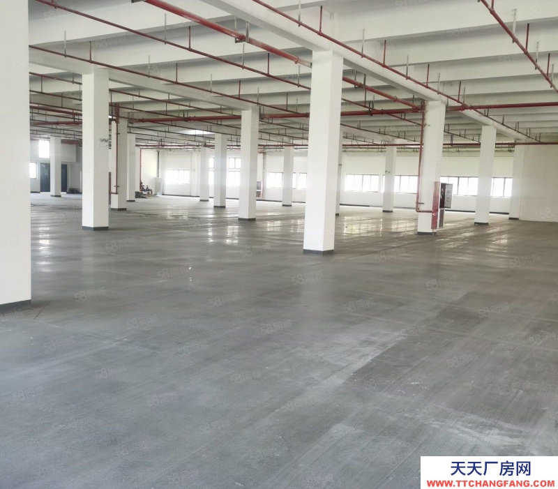 杭州 濱江區(qū)工業(yè)廠房10000方廠房出售