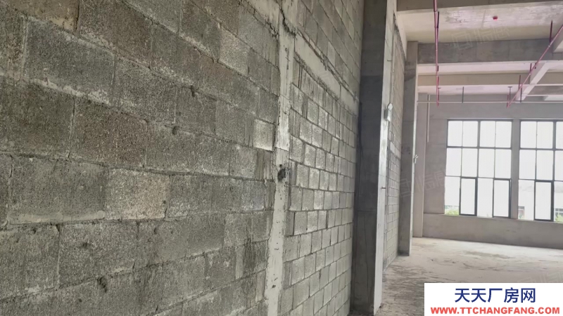 南寧市西鄉塘區(出租) 科銘大廈全新標準廠房租售，價低，用途廣泛