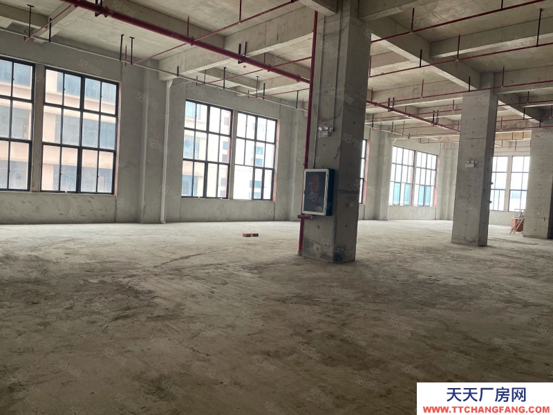 南寧市西鄉塘區(出租) 科銘大廈全新標準廠房租售，價低，用途廣泛