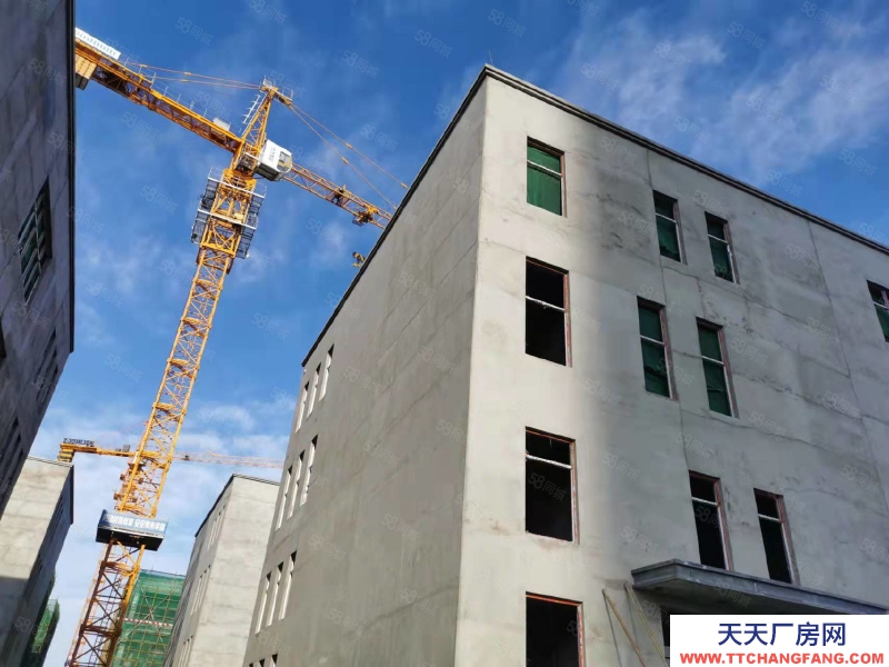 石家莊 正定 現房現房!首層7.9米火爆招商