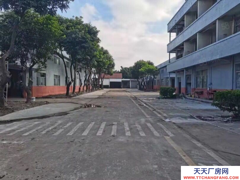 (出租) 花都區工業區廠房倉庫空地大低價出租