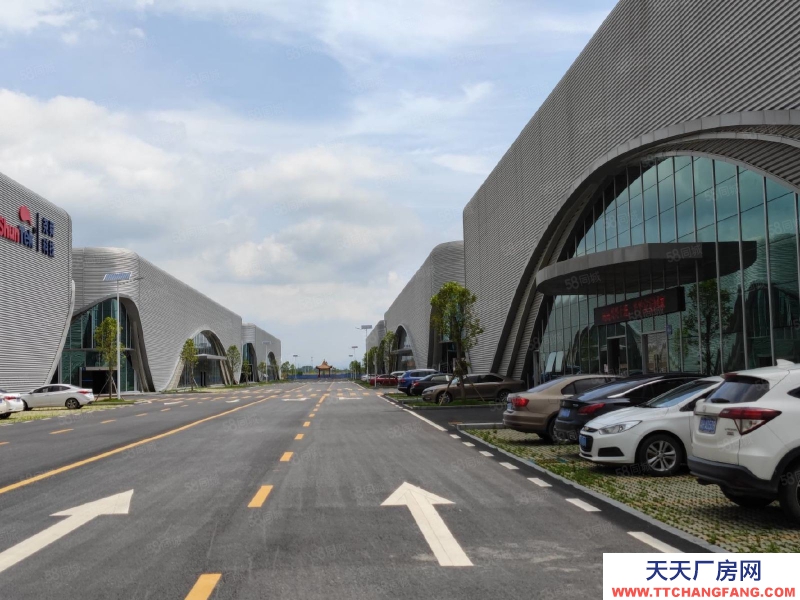 (出租) 花都花東新建全新12米高廠房倉庫一千起租帶裝修帶雨污分流排水