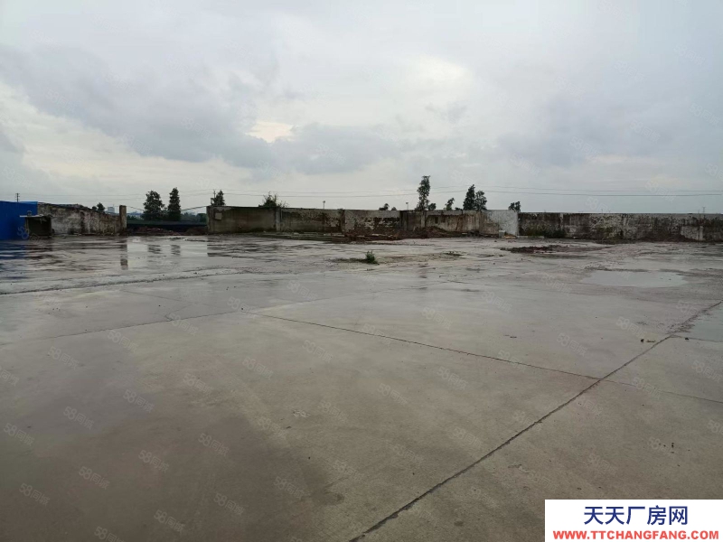 (出租) 花都炭步 1000平和400平簡易倉庫出租 空地超大