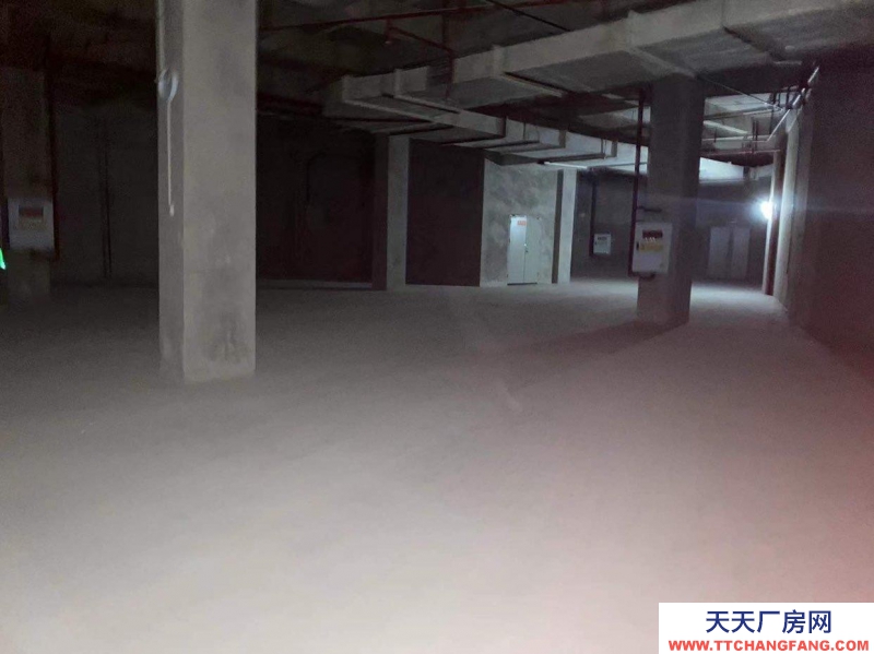 重慶大渡口區金家灣附近倉庫，500到3000平可拆分，中介勿擾