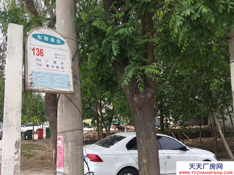 石家莊 正定縣東邢家莊(羊曲線)旁獨立大院出租