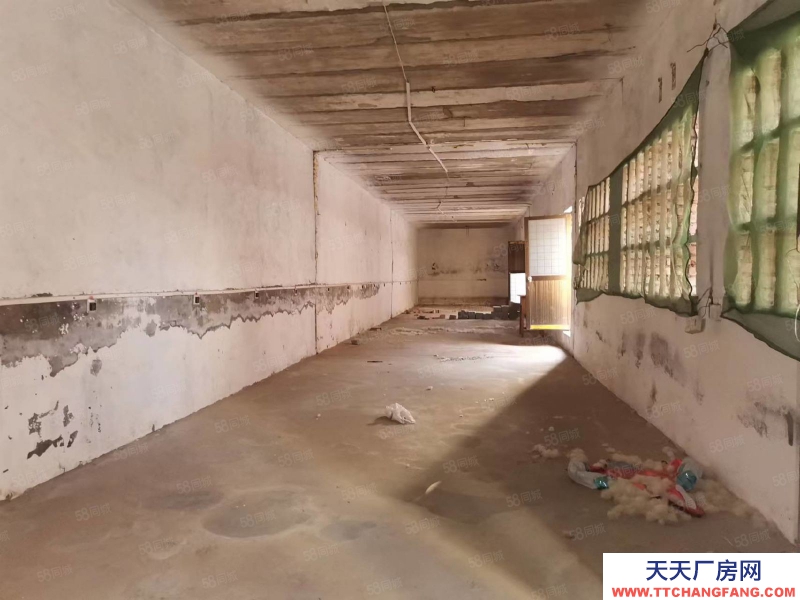 石家莊 正定縣 三角村獨院庫房出租