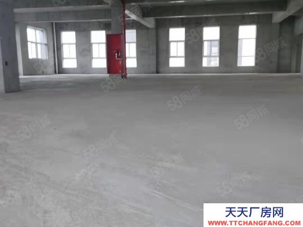 南京市浦口區工業廠房 首高8.1米 兩層半戶型 生產倉儲辦公 50年產權