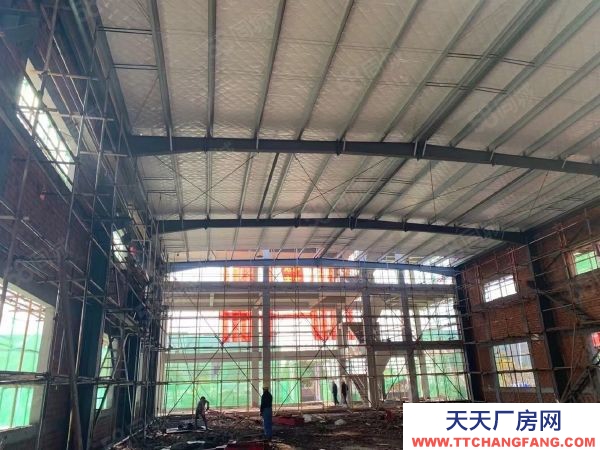 南京市浦口區單層鋼結構廠房 隧道直通 地鐵在運行 政府扶持 價稅可談