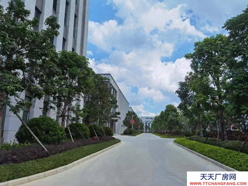 南寧市西鄉塘區(出租) 北湖路廠房308至2600平,租金低,隨時用