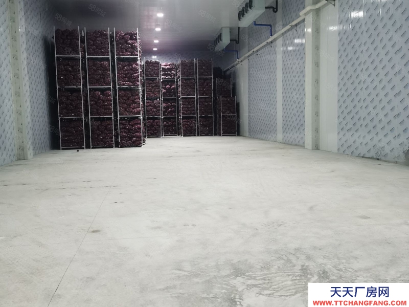 重慶江津雙福農貿城附近凍庫,冷庫,常溫庫出租可分租(可托管)