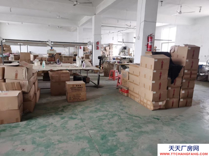 石家莊 欒城區 紹家莊村東 廠房庫房出租