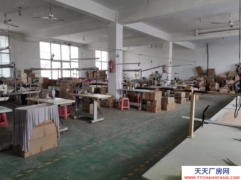 石家莊 欒城區 紹家莊村東 廠房庫房出租