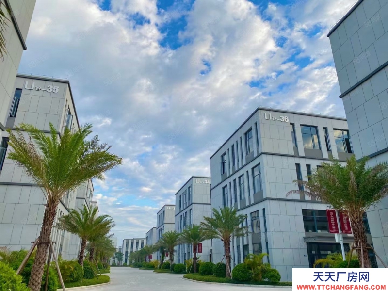 南寧市西鄉塘區(出租) 北湖北路中關村科技園，標準廠房出租