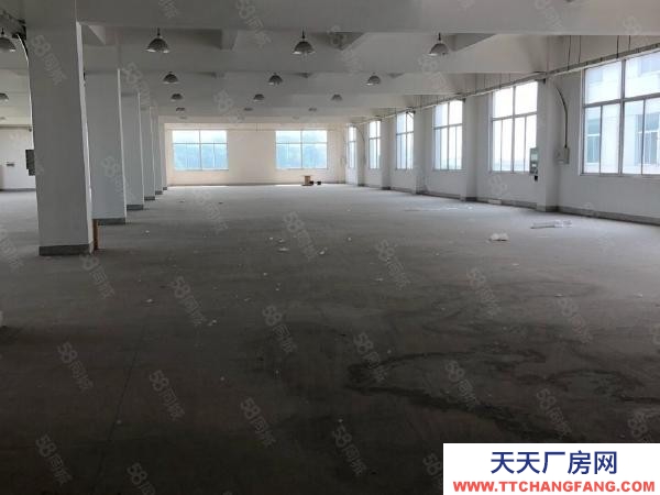 南京市浦口區高新廠房倉庫出租 大平層，采光好交通方便