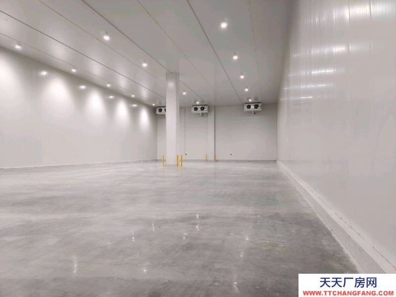 重慶江津大型冷庫招租二氧化碳制冷凈高10.5米