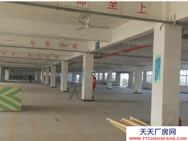 南京市浦口高新區700平標準化園區廠房倉庫4.5米層高