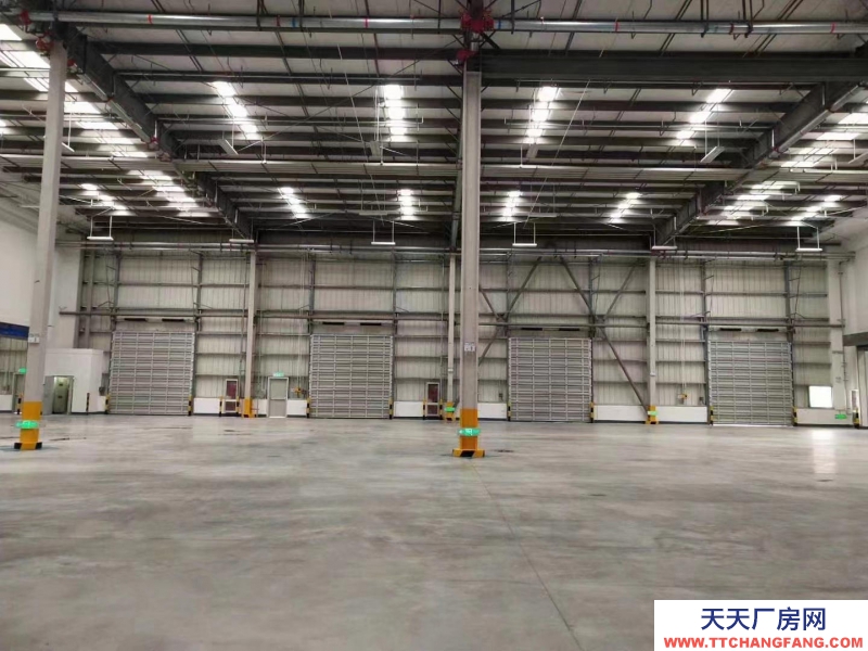 重慶江津珞璜高標庫出租，可整租可分零可短租。