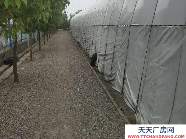 南京浦口區江北新區雙城路附近倉庫場地