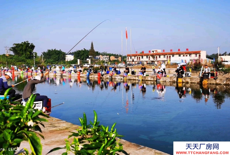 重慶銅梁農(nóng)業(yè)園100畝可種養(yǎng)殖,做農(nóng)莊,可做廠房倉庫