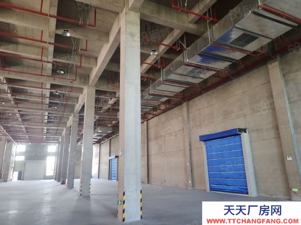 南京市棲霞龍潭獨門獨院全新廠房35000平可分組交通方便