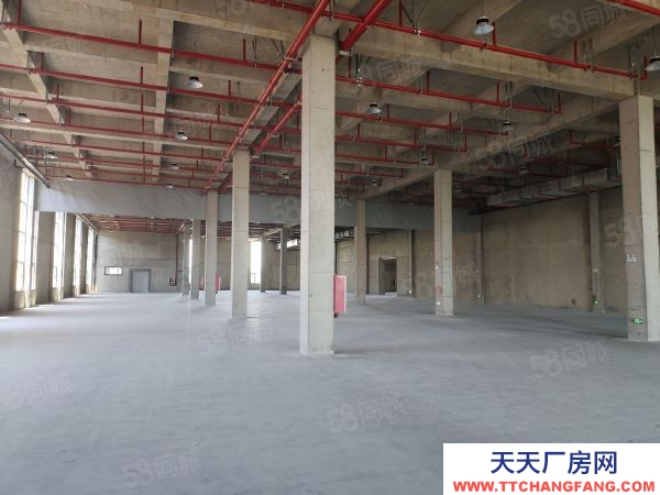 南京市棲霞龍潭獨門獨院全新廠房35000平可分組交通方便