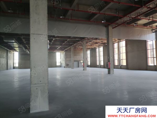 南京市棲霞龍潭獨門獨院全新廠房35000平可分組交通方便