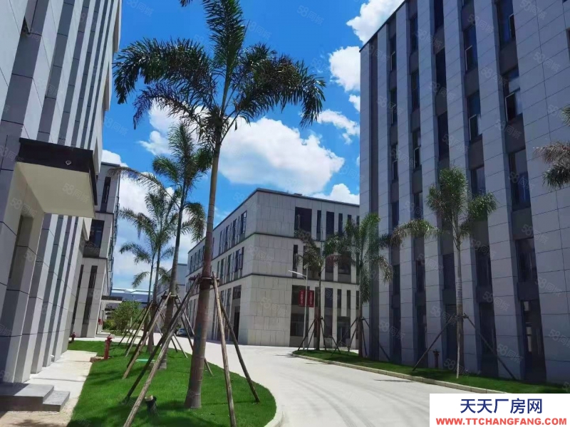 南寧市西鄉(xiāng)塘區(qū)(出租) 安吉臨街獨(dú)棟廠房出租，可做無塵潔凈車間，配套餐廳，交通便利