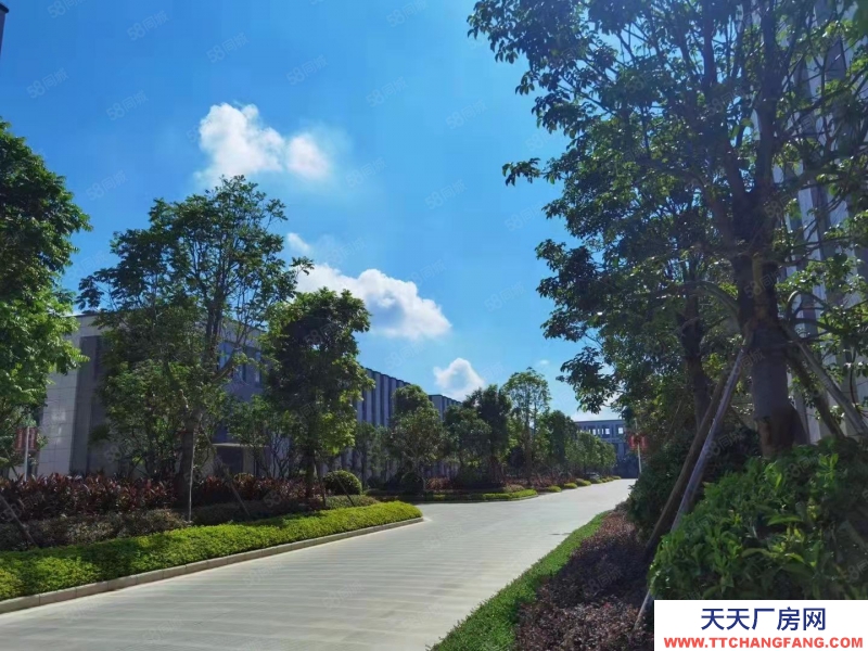 南寧市西鄉(xiāng)塘區(qū)(出租) 安吉臨街獨(dú)棟廠房出租，可做無塵潔凈車間，配套餐廳，交通便利