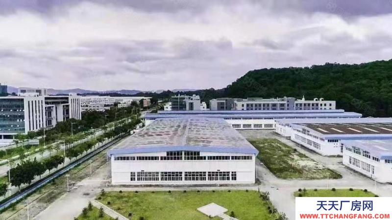 (出售) 廣州花都獨院廠房出售 產(chǎn)權(quán)清晰 空地大 好進車 大馬路邊上